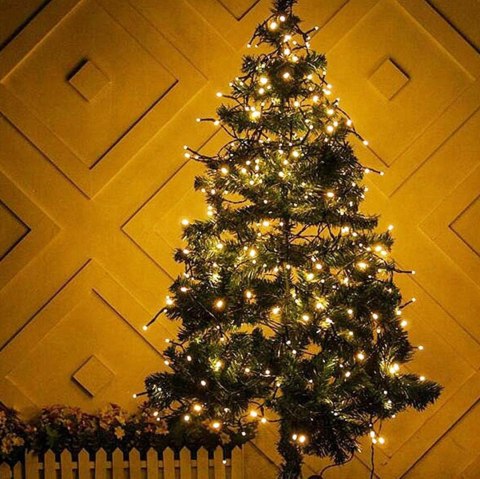 Christmas tree lights 100 led ww Christmas tree lights 100 led ww