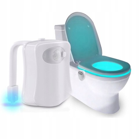 Wc lighting Wc lighting
