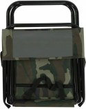 Fishing chair