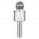 Karaoke microphone wireless bluetooth for children with usb with speaker