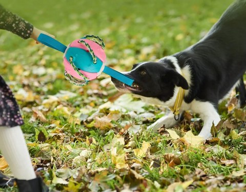 Interactive toy for dog frisbee flying ball disc teeth ball
