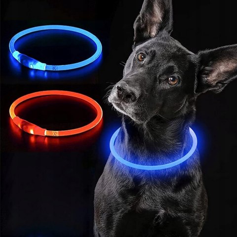 Dog light-up collar l Dog light-up collar l
