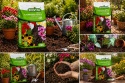 BIOVITA Universal Potting Soil 20L for indoor & balcony plants healthy growth, strong roots, long-lasting flowering