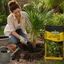 Potting Soil for Palms, Yucca, Dracaena & Ficus 20L – Biovita | Enriched Soil with Fertilizer