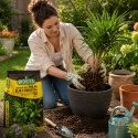 Potting Soil for Palms, Yucca & Dracaena Biovita 5L pH 6–7 with Perlite – Indoor Plant Soil Mix