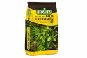 Potting Soil for Palms, Yucca & Dracaena Biovita 5L pH 6–7 with Perlite – Indoor Plant Soil Mix