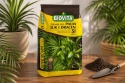 Potting Soil for Palms, Yucca & Dracaena Biovita 5L pH 6–7 with Perlite – Indoor Plant Soil Mix