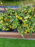Organic Soil for Vegetables and Tomatoes 50L – Natural Growing Medium for Eco Gardening Biovita