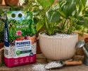 Pumice 5L Biovita Agro – volcanic pumice for plants, drainage, soil mix, hydroponics
