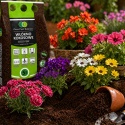Coconut fiber 10mm 5L Biovita COCO Peat growing media