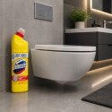 DOMESTOS PRZEDŁUŻONA MOC CITRUS FRESH PŁYN CZYSZCZĄCO-DEZYNFEKUJĄCY 750ML